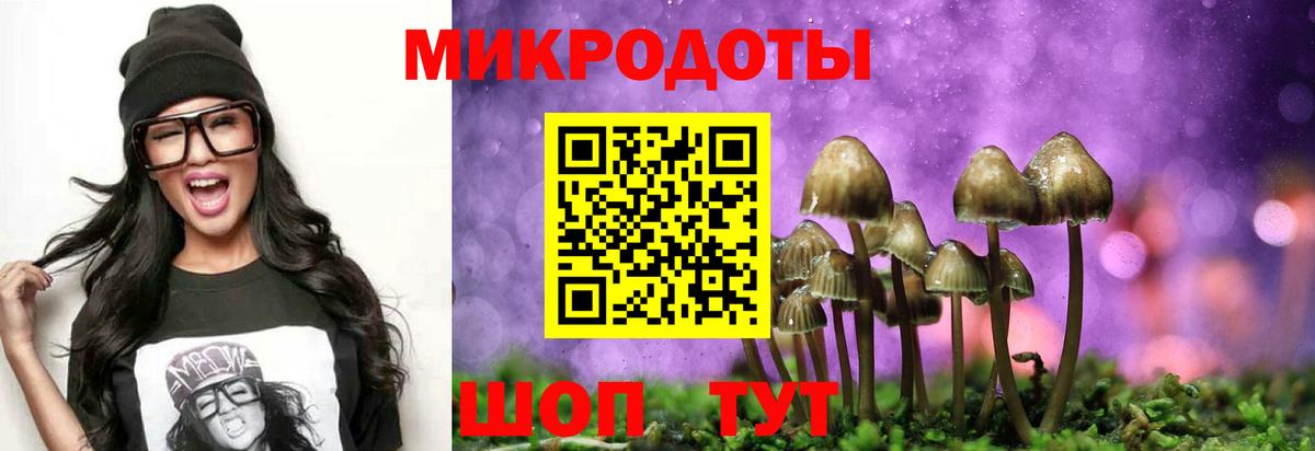 Галлюциногенные грибы мицелий  Вход с VPN  Ессентуки 